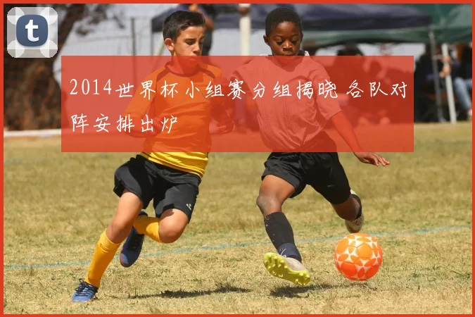 2014世界杯小组赛分组揭晓 各队对阵安排出炉